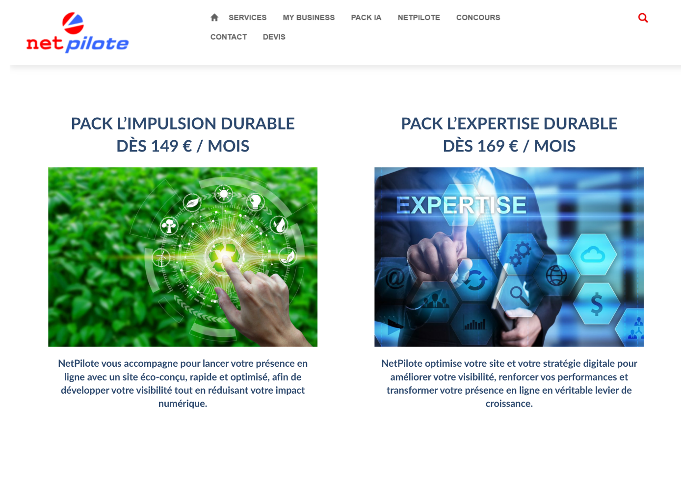 Site web NetPilote - offres et packs